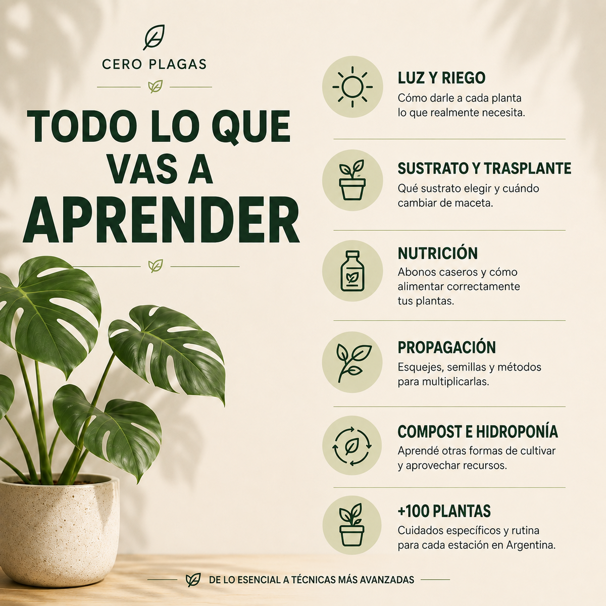 GUÍA DIGITAL COMPLETA PARA APRENDER TODO SOBRE PLANTAS