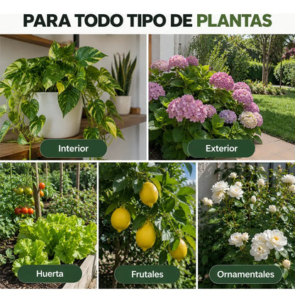 CERO PLAGAS | ELIMINÁ LAS PLAGAS DE TUS PLANTAS