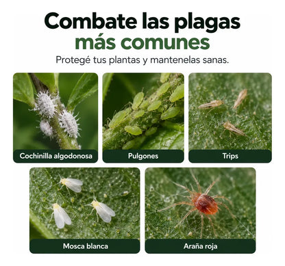 CERO PLAGAS | ELIMINÁ LAS PLAGAS DE TUS PLANTAS